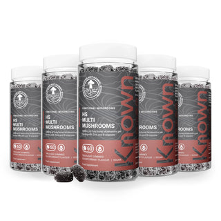High Strength Multi Mushrooms Gummies