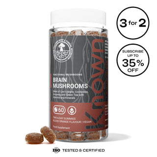 Brain Mushrooms Vegan Gummies