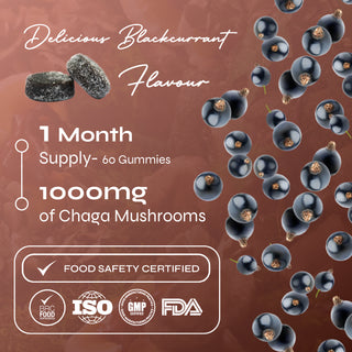 Chaga Mushroom Vegan Gummies