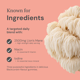 High Strength Lion's Mane