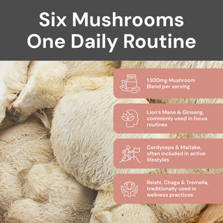 Multi Mushroom Gummies