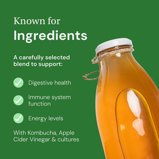 Kombucha Gummies