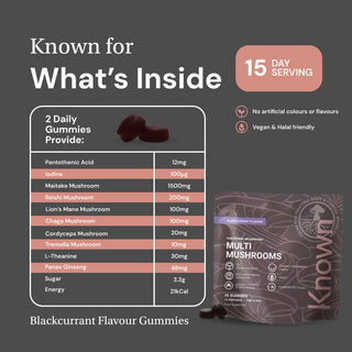 Multi Mushroom Gummies On The Go Pouch