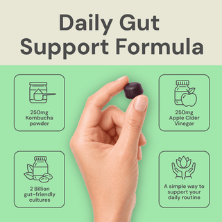 Kombucha Gummies