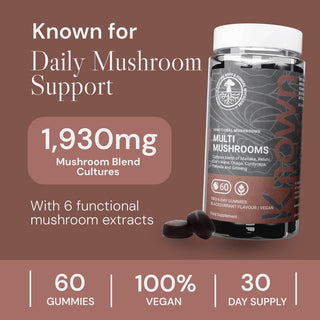Multi Mushroom Gummies