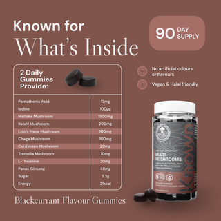 Multi Mushroom Gummies