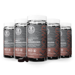 Multi Mushroom Gummies