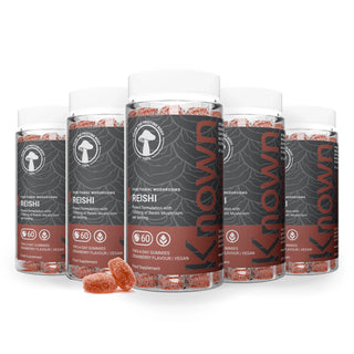 Reishi Mushroom Vegan Gummies